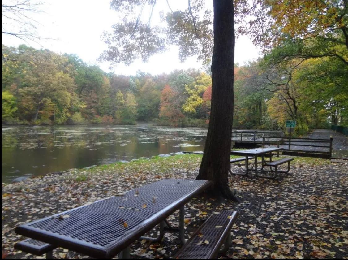 Demarest Kill County Park