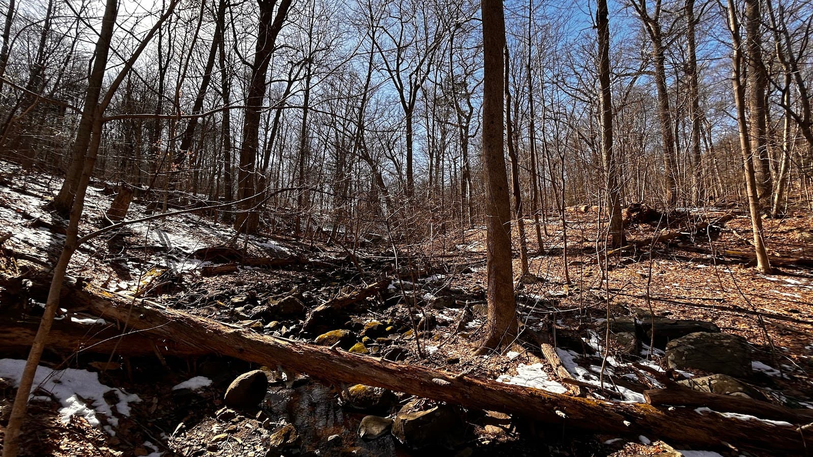 Long Path (Rockland Section)