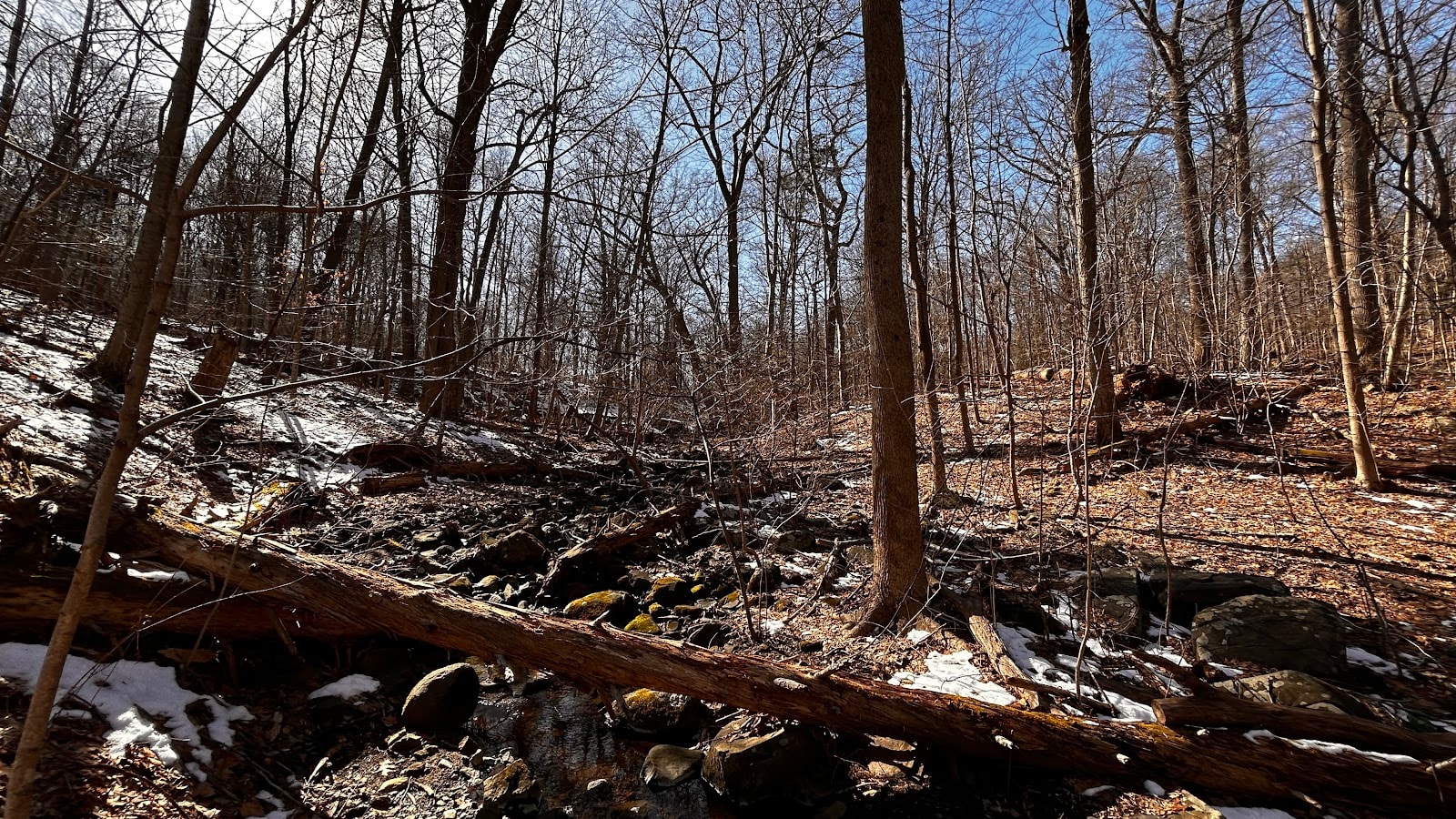 The Long Path Crosses Rockland, and It's Worth the Detour