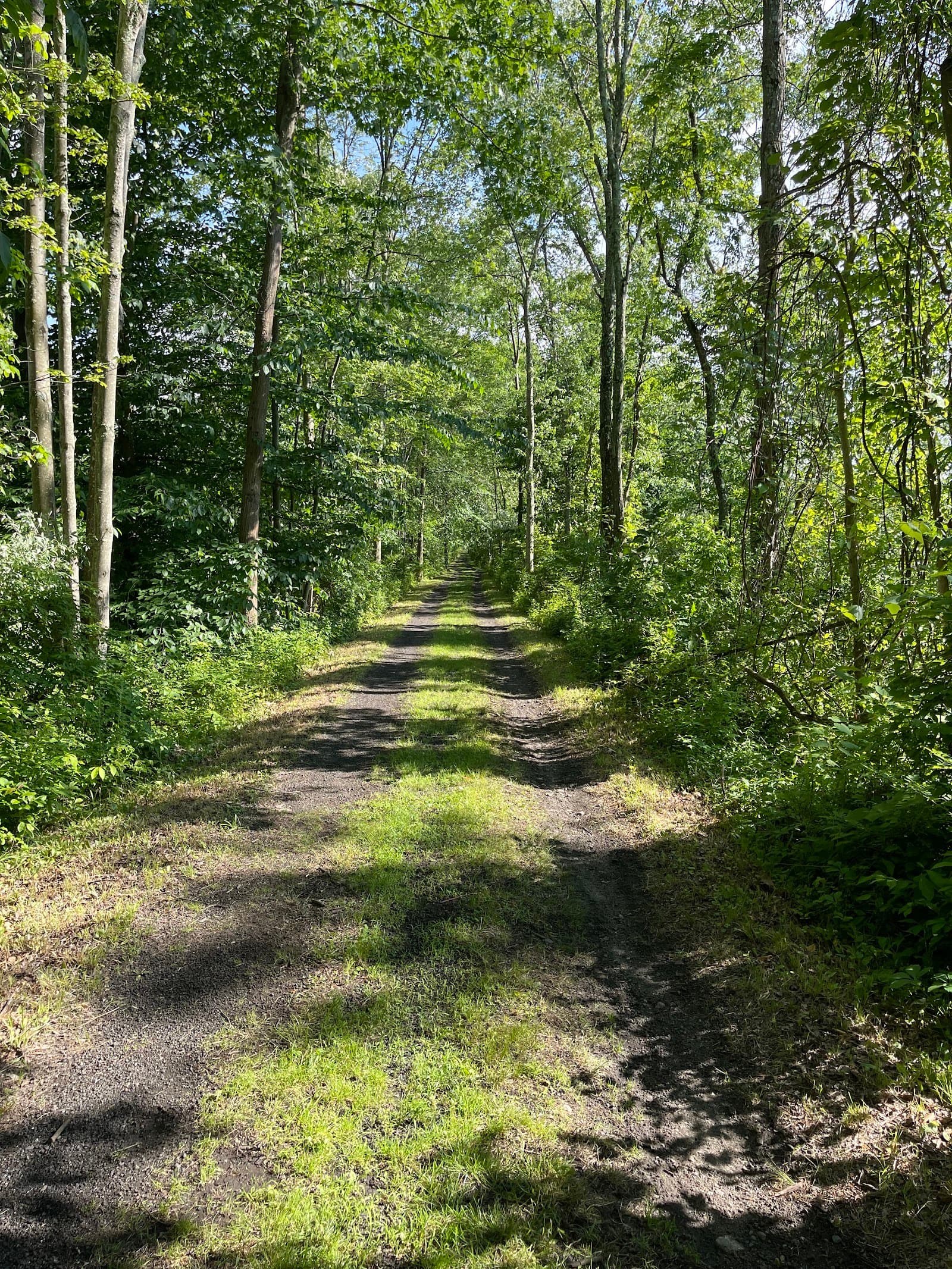 Mount Ivy County Park