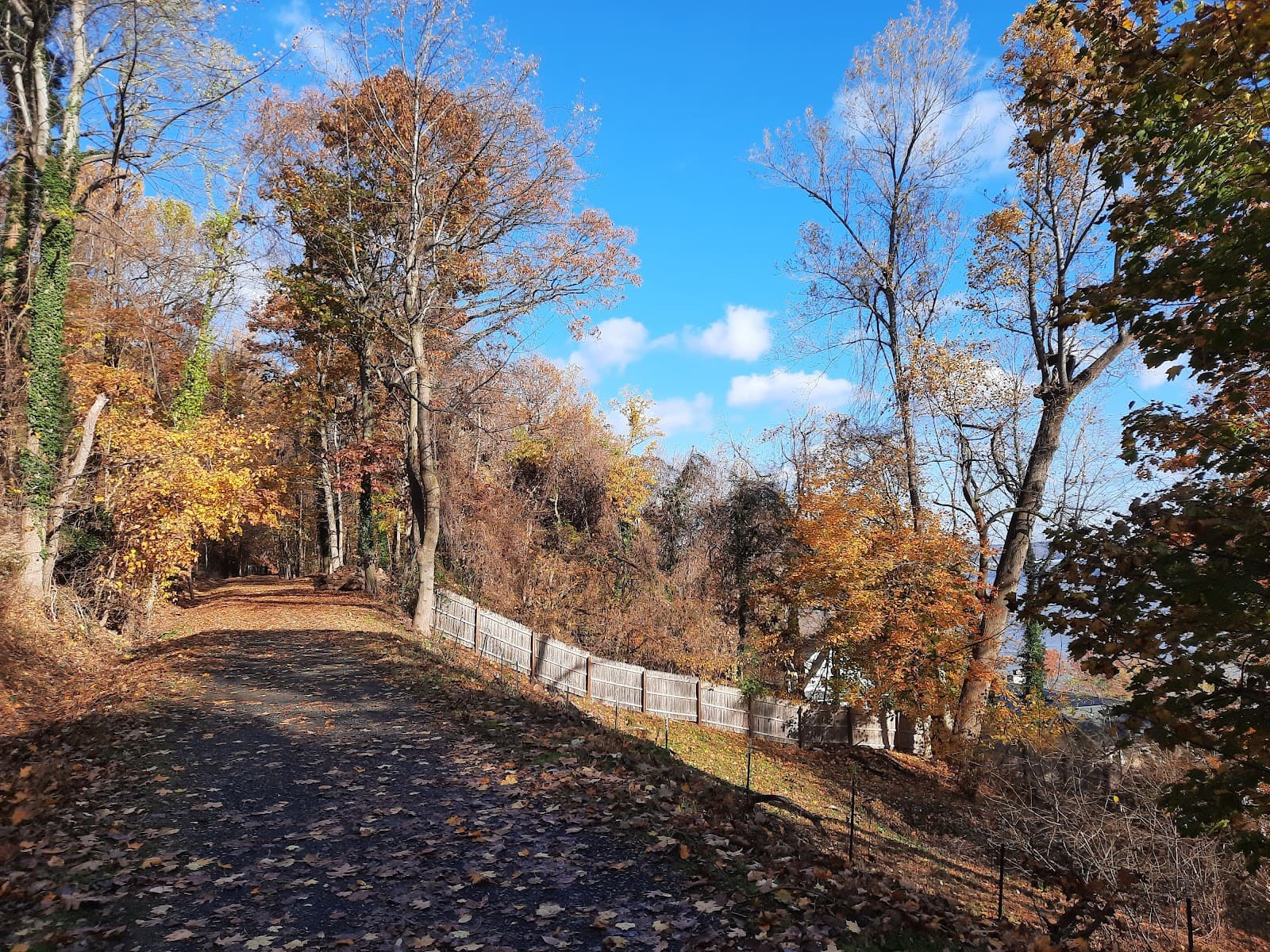Old Erie Path