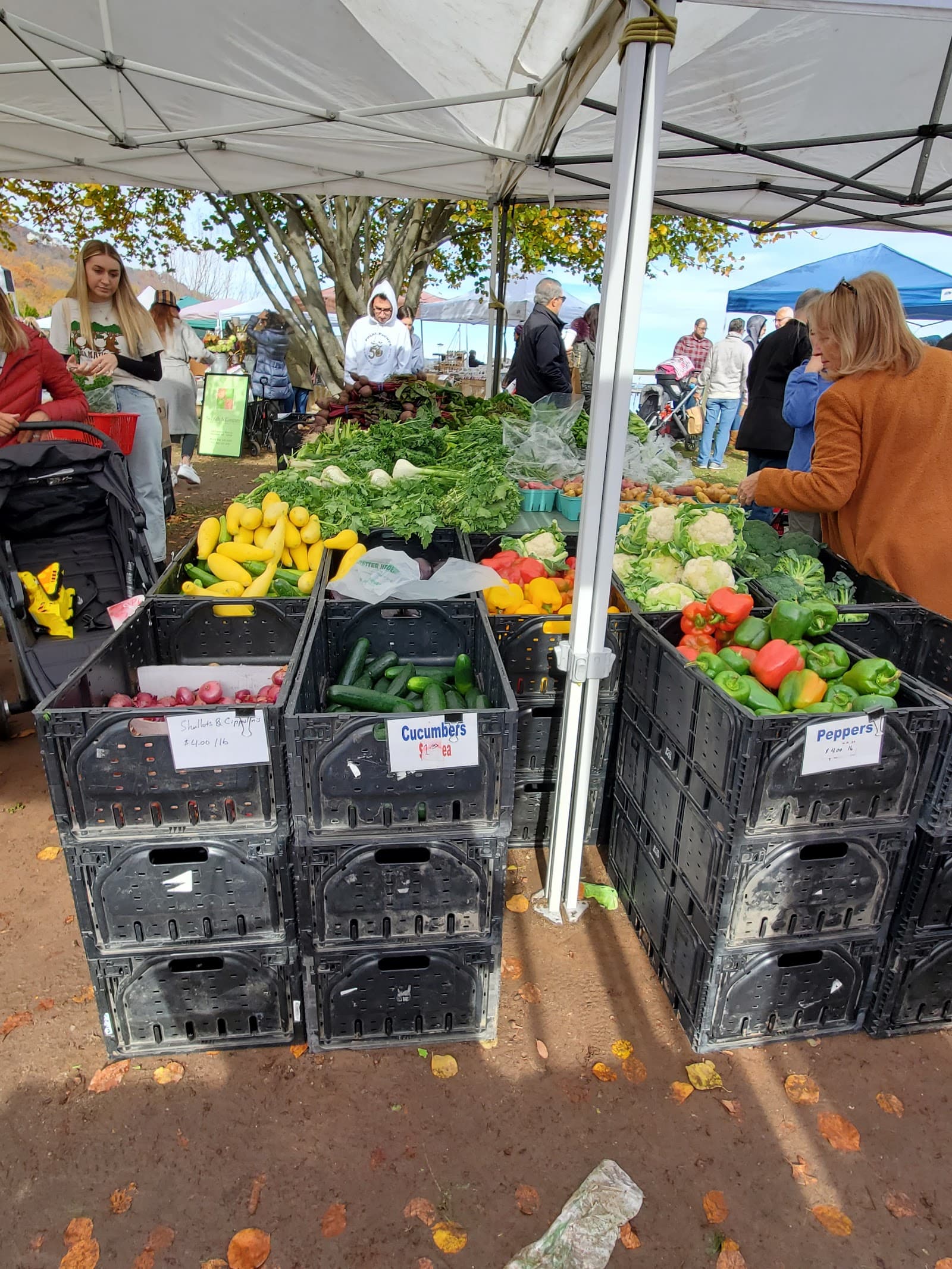 Piermont Farmers Market