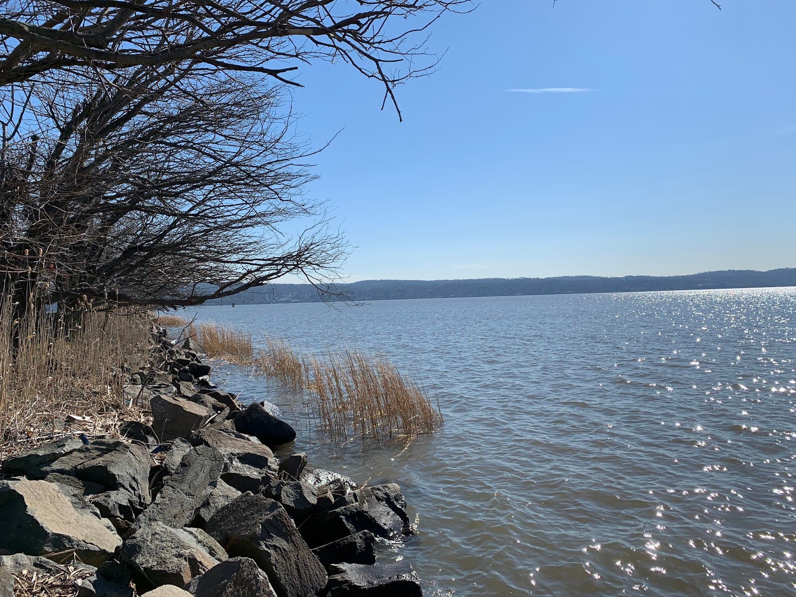 Piermont Marsh