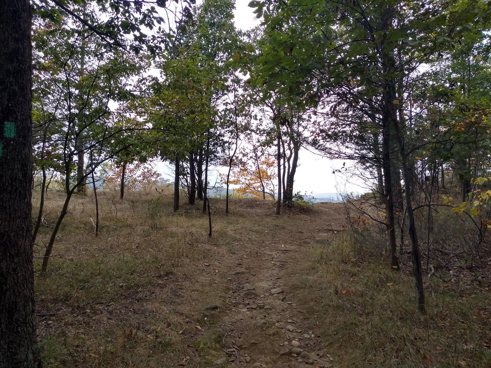 South Mountain County Park