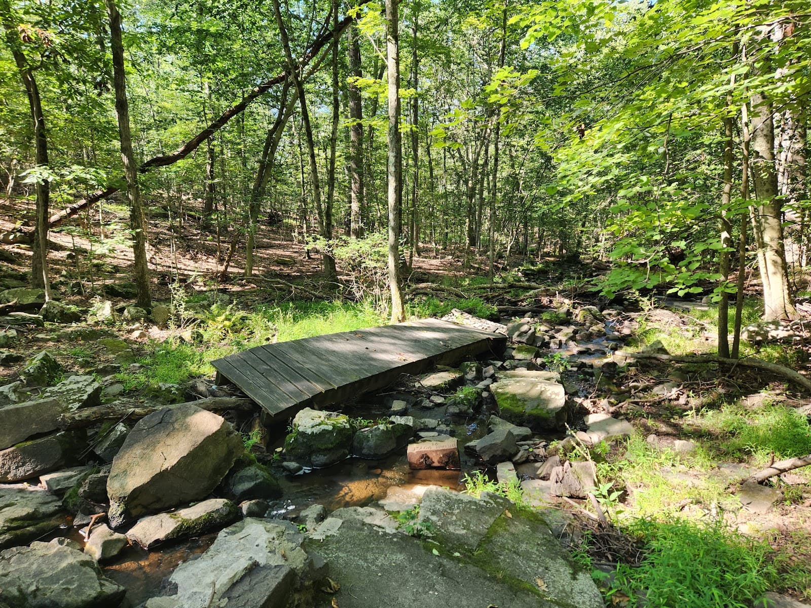 Tackamack Park