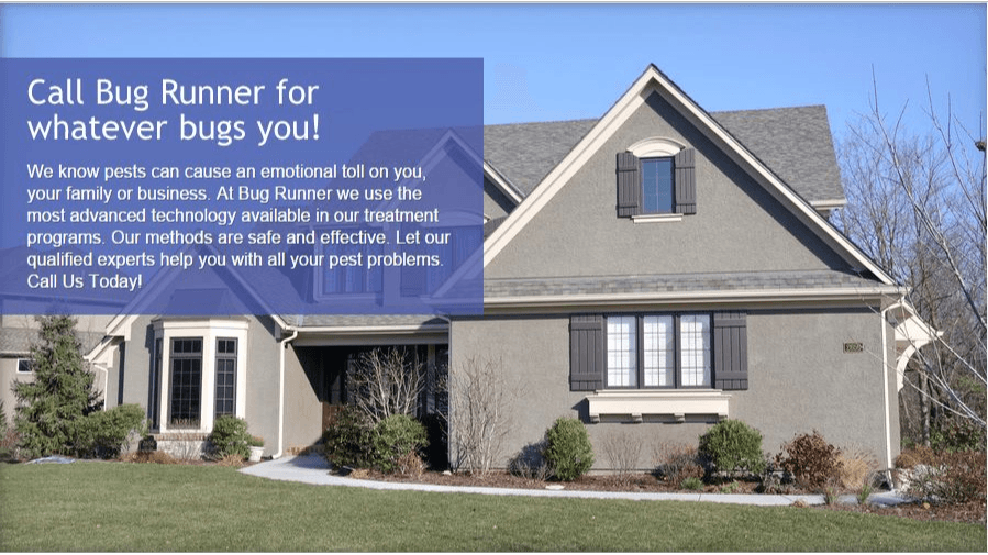 Bug Runner-Exterminating Co