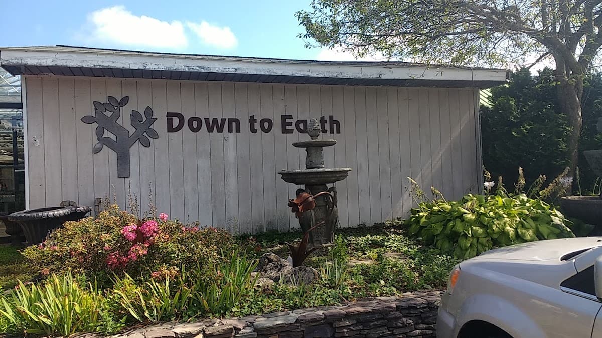 Down To Earth Living