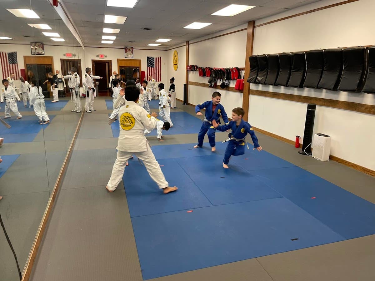 MMA, Muay Thai & BJJ Classes class image