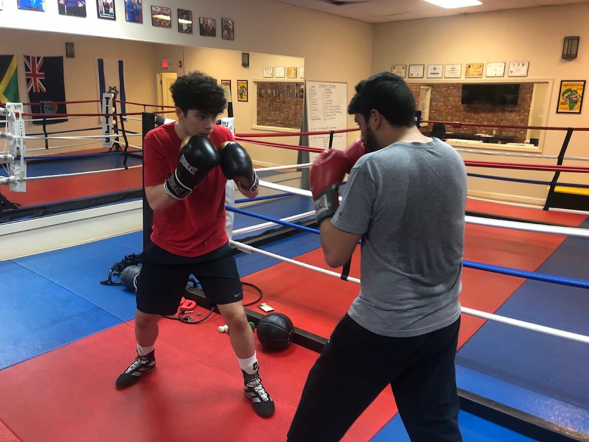 Boxing, Kickboxing & BJJ Classes class image