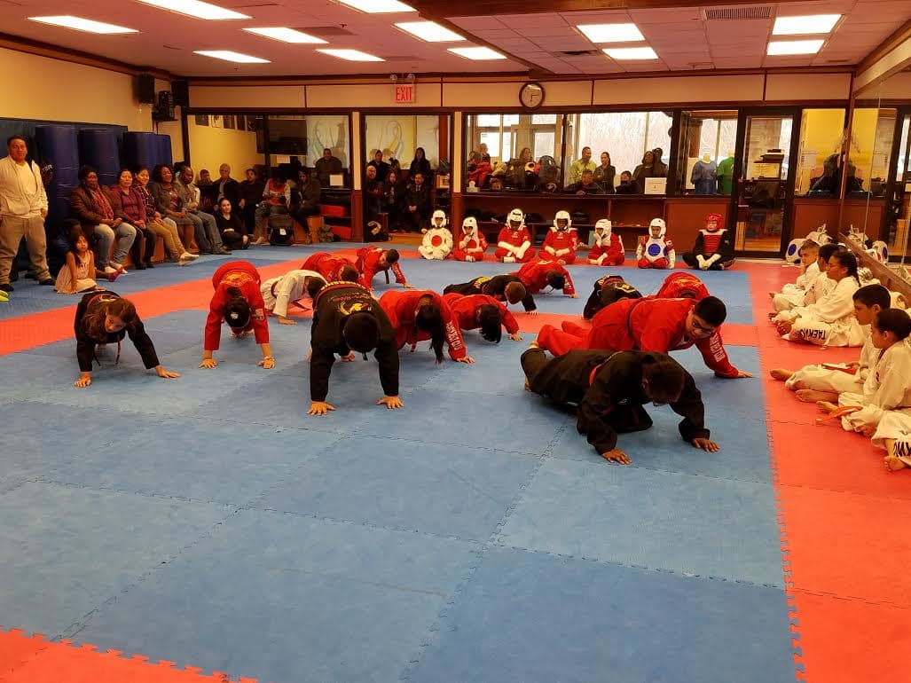 Traditional Taekwondo Classes