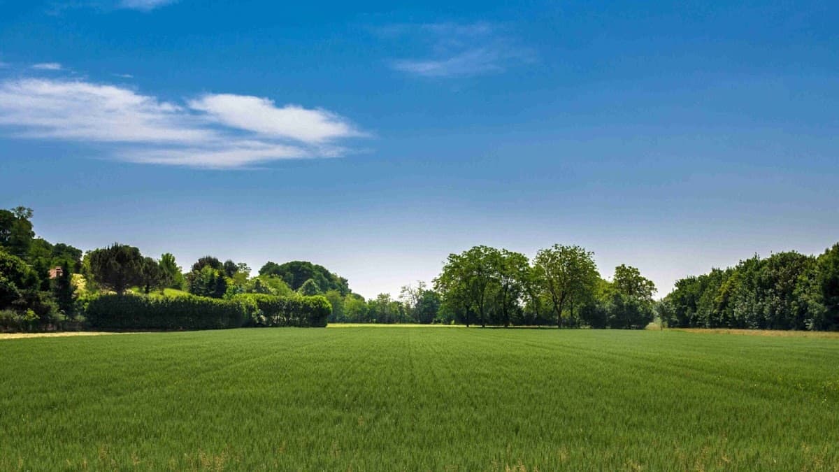 Majestic Lawn Care & Landscape