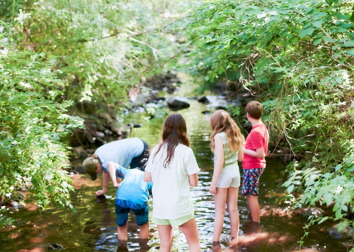 Chestnut Ridge's wooded day camp has shaped summers for generations