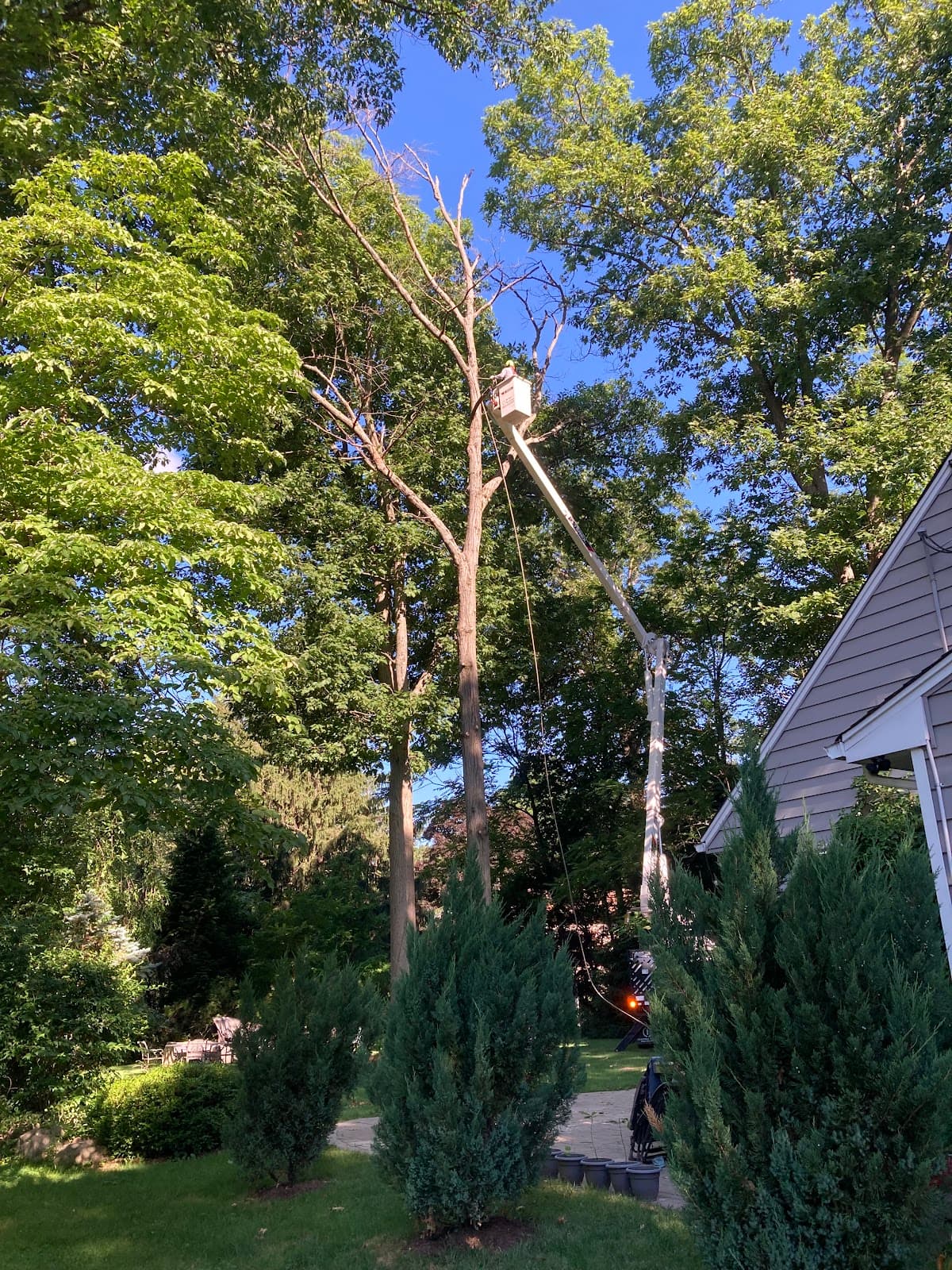 On Point Tree Service