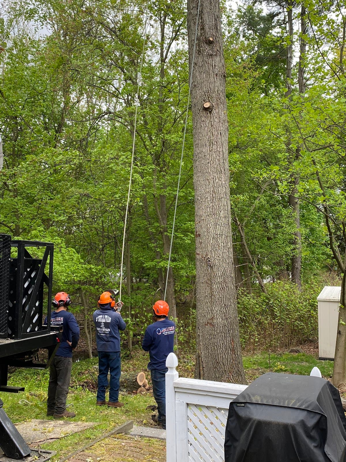 O'Sullivan Tree Care and Recycling