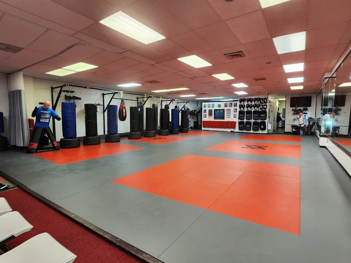 Brazilian Jiu-Jitsu, Kickboxing & Krav Maga class image