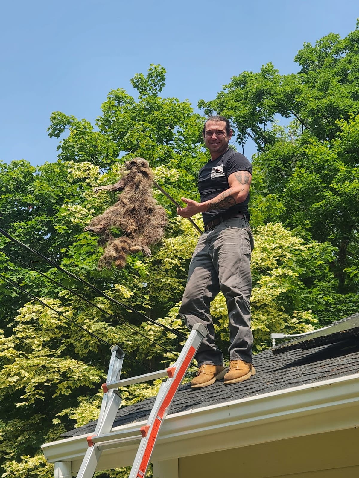 Powerhouse Animal & Pest Control LLC