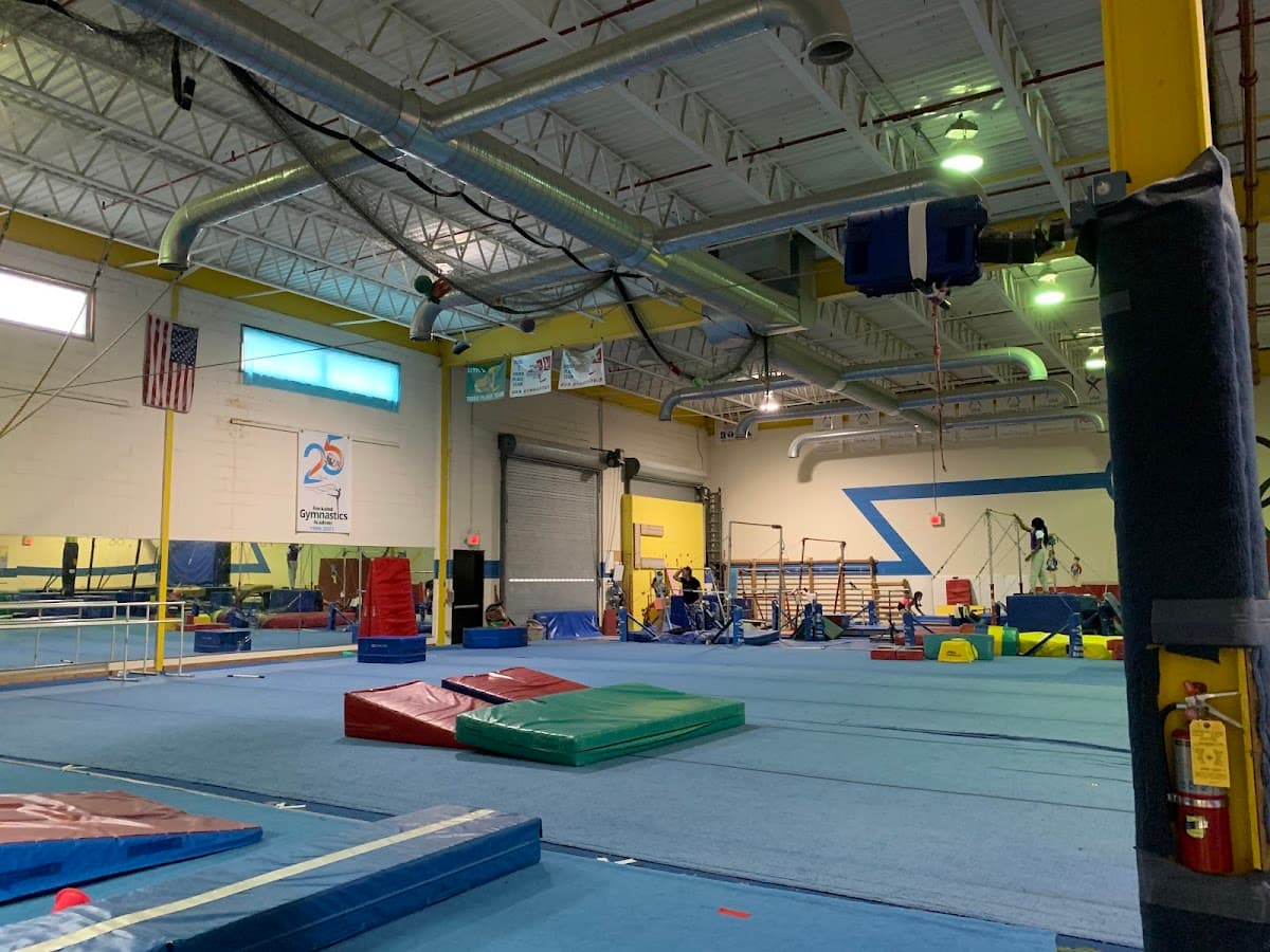 Recreational & Team Gymnastics class image