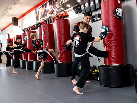 Tiger Schulmann's Martial Arts (Nanuet, NY)