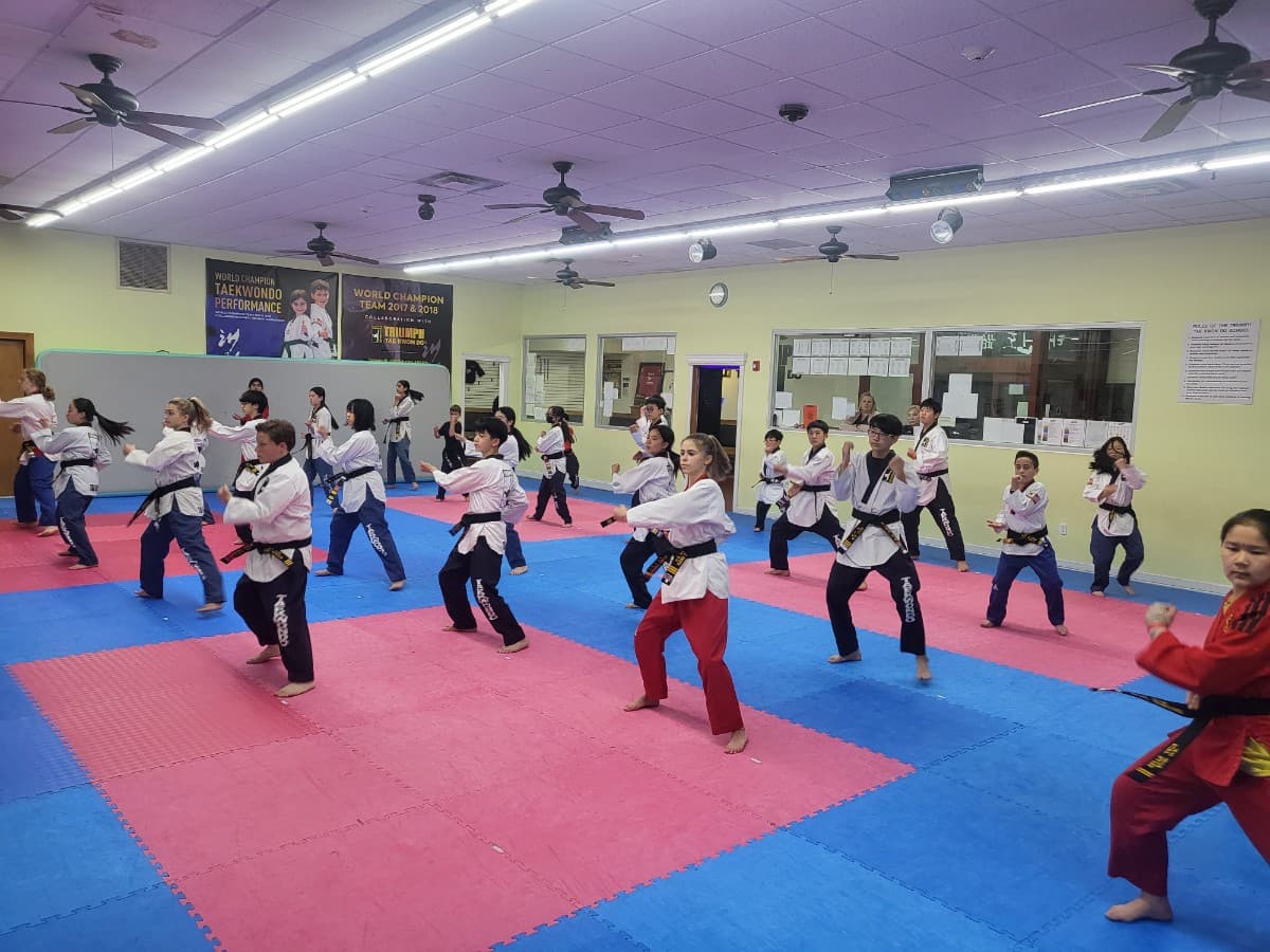 Kids & Adult Taekwondo