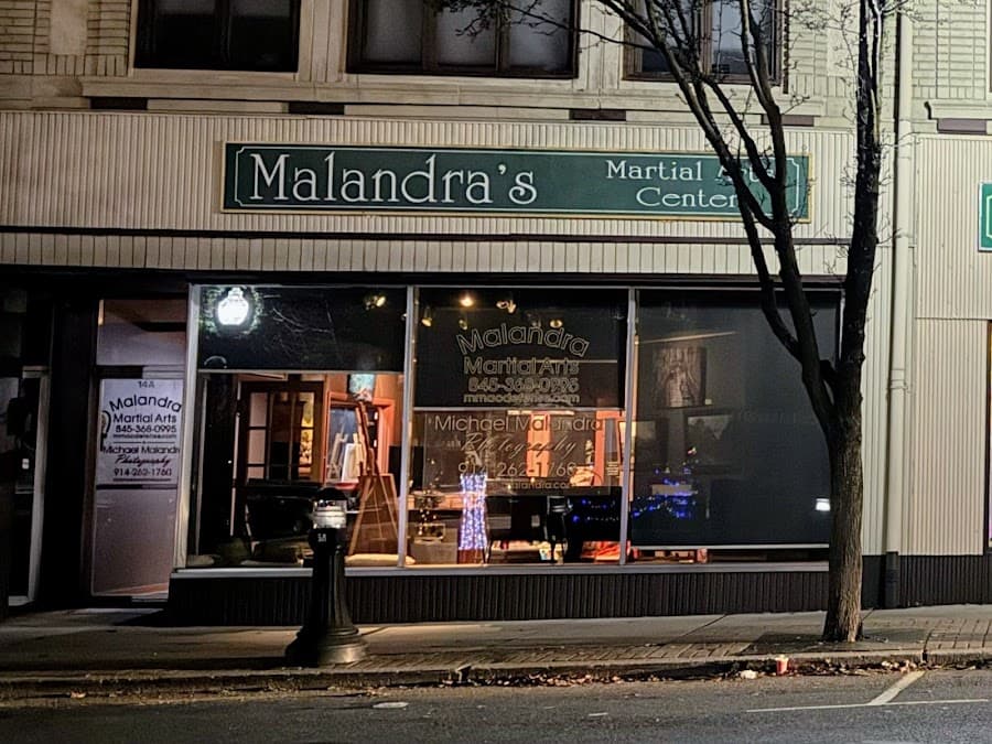 Malandra's Martial Arts class image