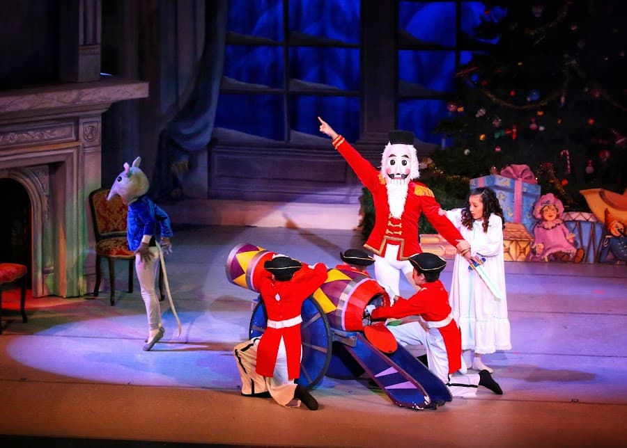 Rockland Youth Dance Ensemble class image