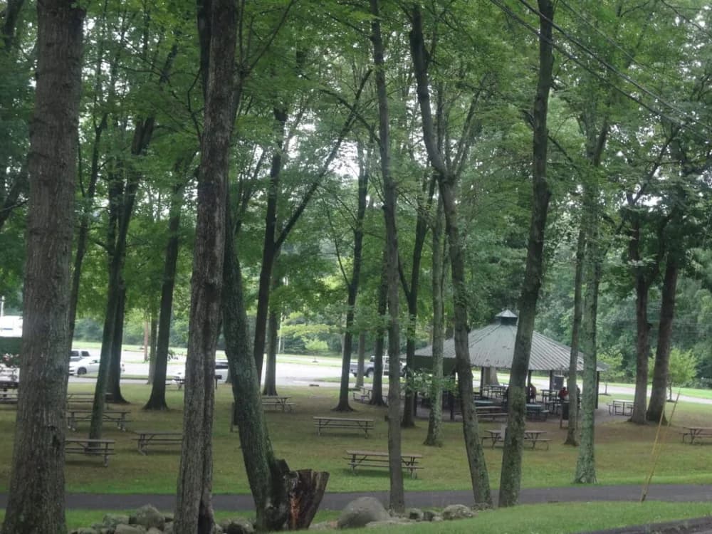 Wooded picnic grounds at Germonds Park in West Nyack