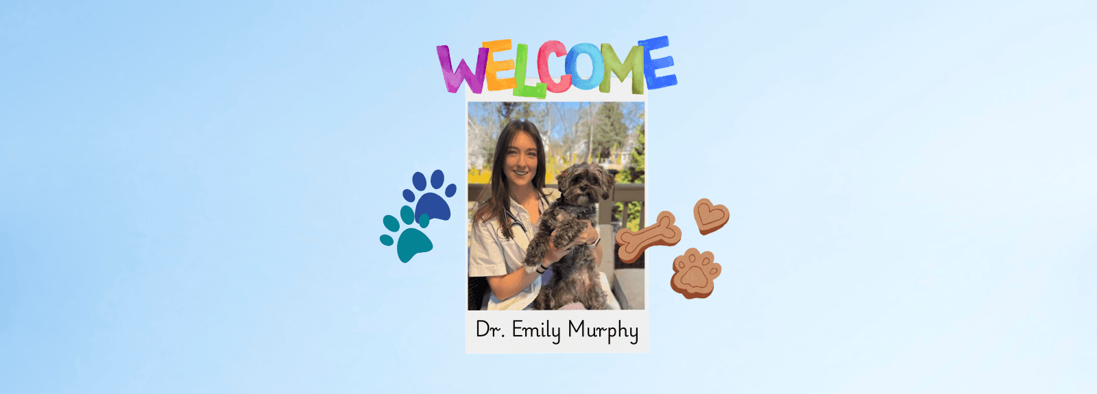 Valley Cottage Animal Hospital
