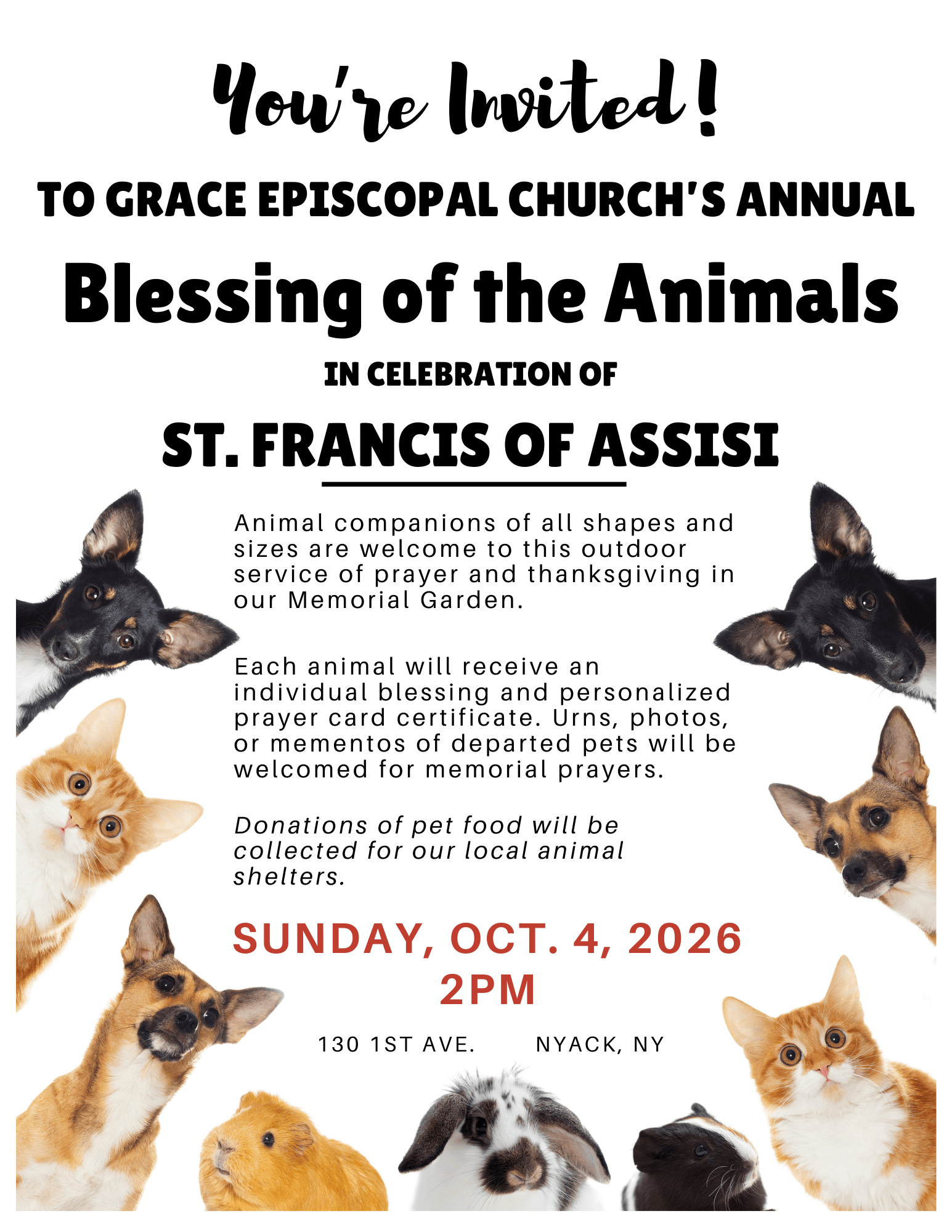 Blessing of the Animals in Celebration of St. Francis